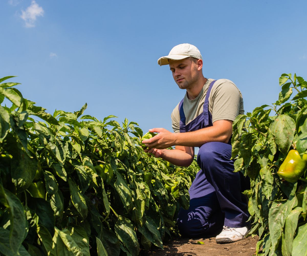 insurance needed for farming and crop insurance