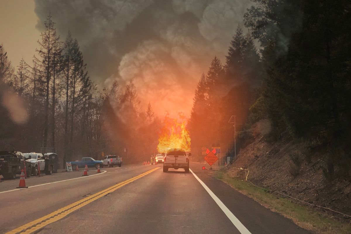 Home insurance - Forest Fire - Road - Truck