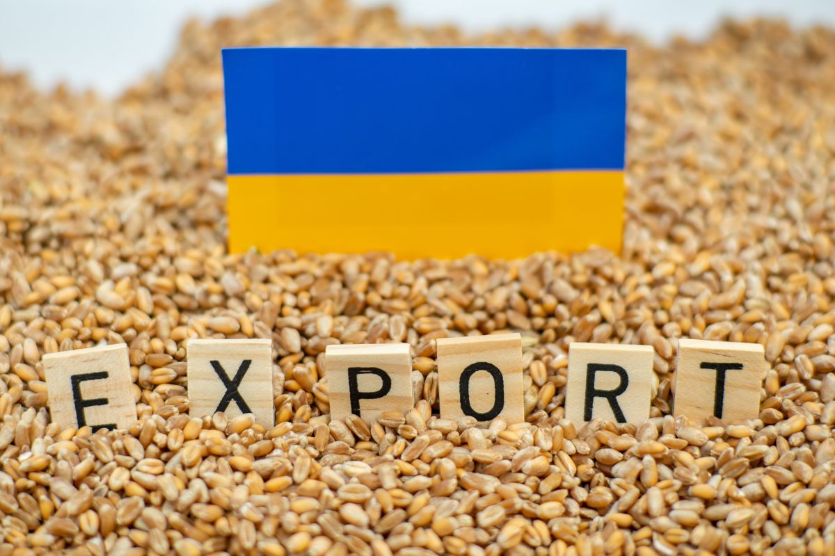 Marine Insurance - Ukraine Grain Exports