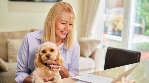 Pet insurance - woman on computer with dog