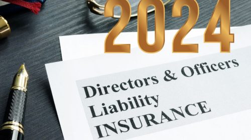 D&O Business liability insurance Form - 2024