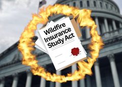 House Committee Gives Green Light to Wildfire Insurance Coverage Study
