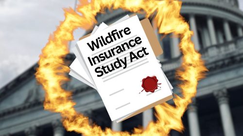 wildfire insurance study act