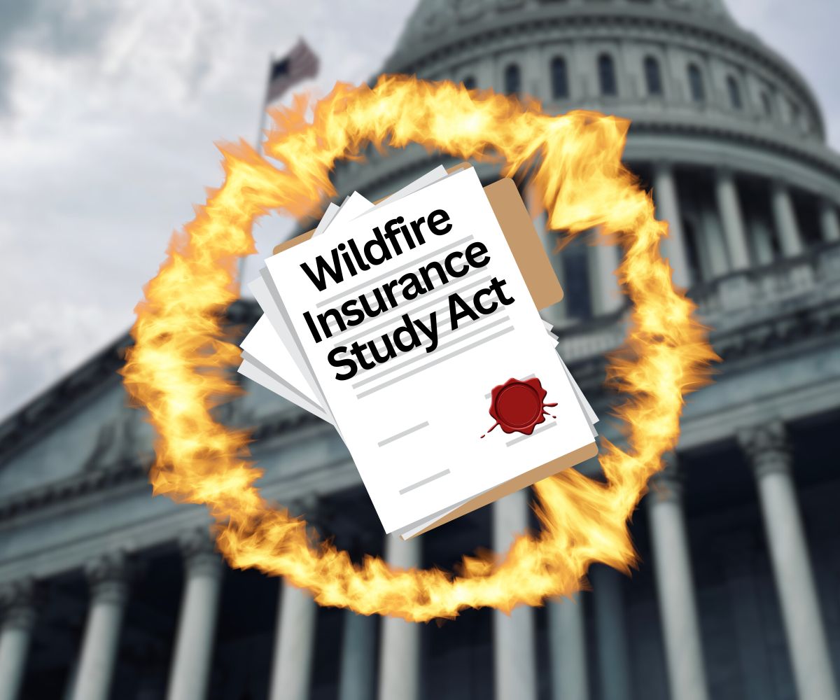 wildfire insurance study act