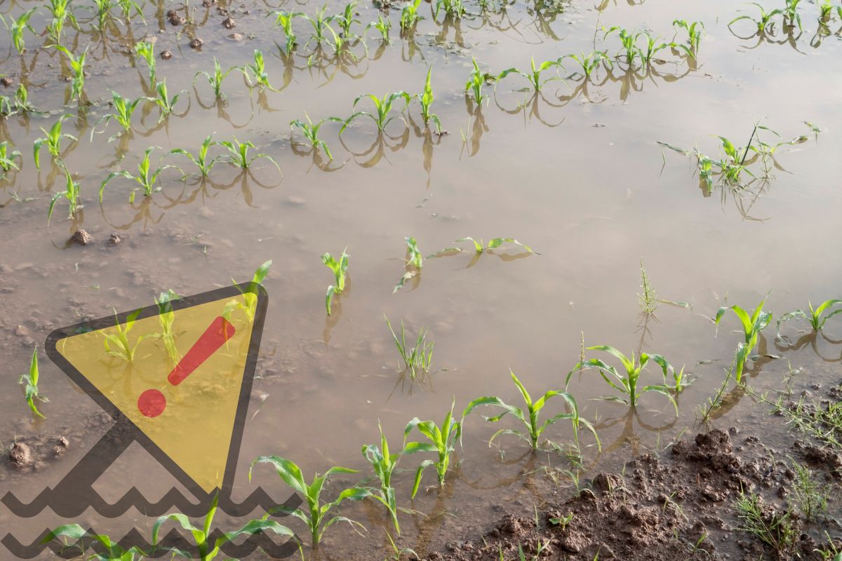 Farm Insurance - Flooding in farm fields