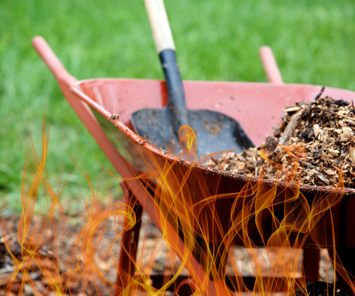 homeowners high risk mulch