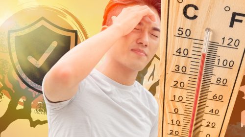 Japan’s Heat Stroke Insurance Boom