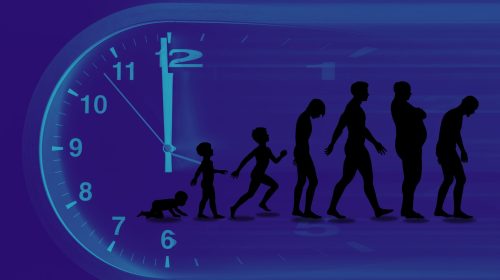 Speed of time