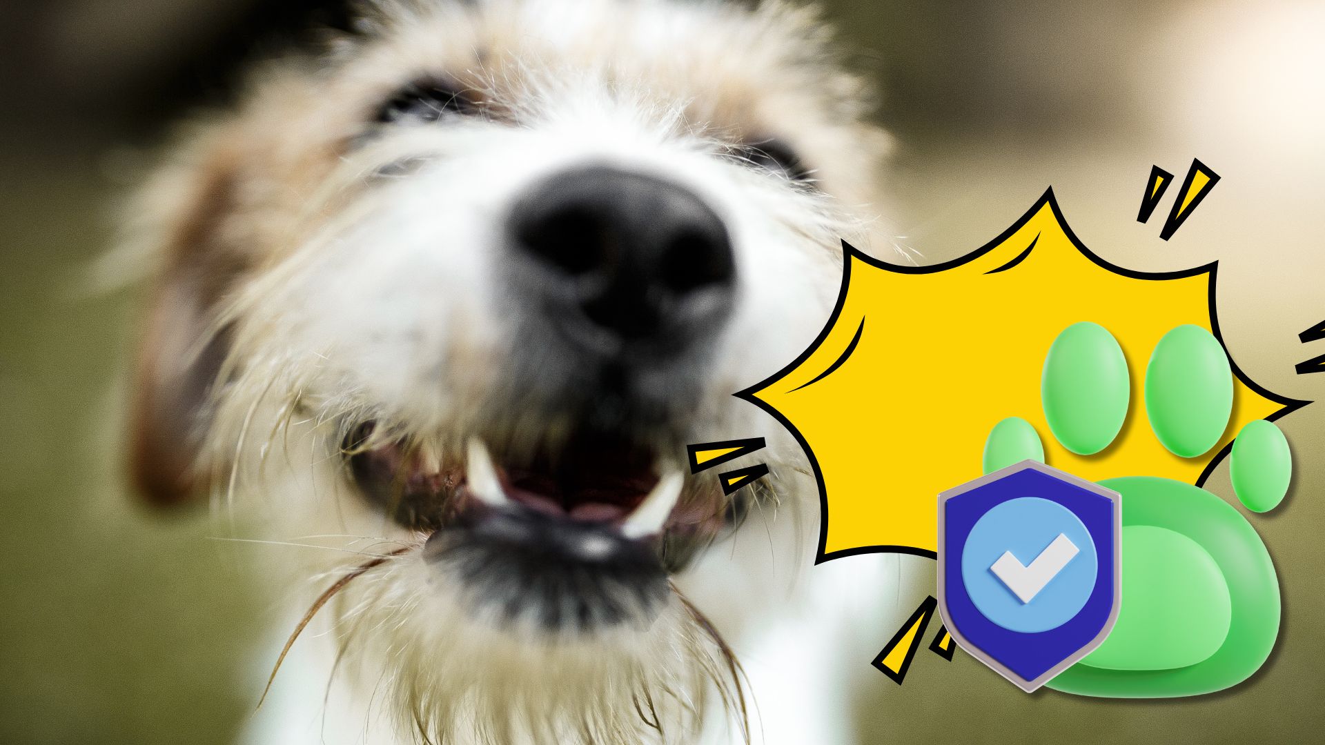Unusual Pet Insurance Claims