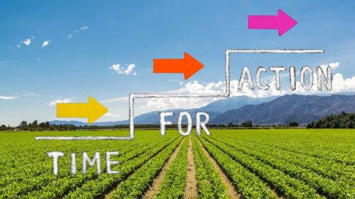 crop insurance reform