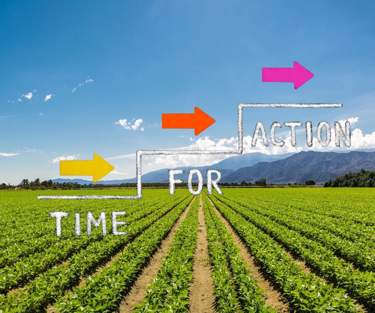 crop insurance reform