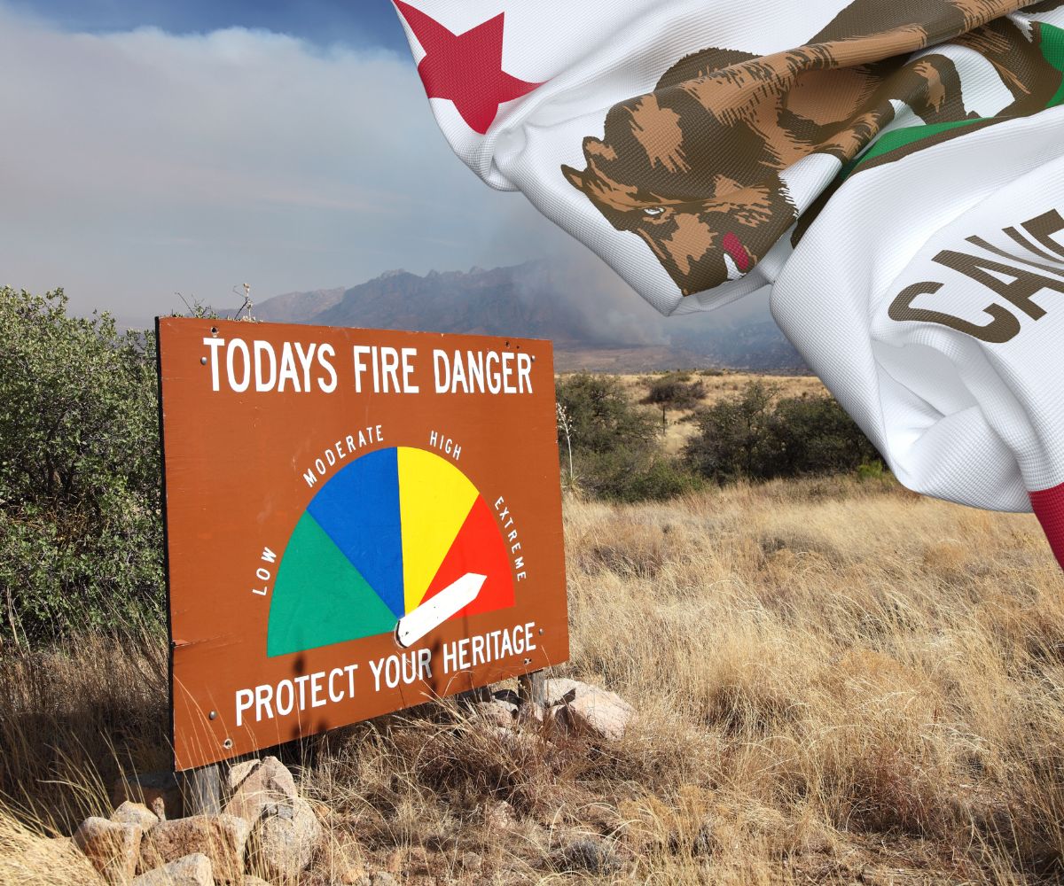 California insurance wildfire debate