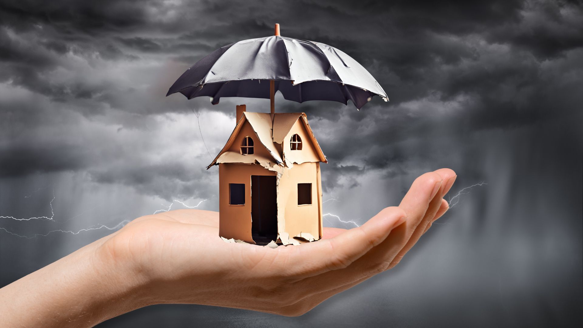 Florida's Insurance Market