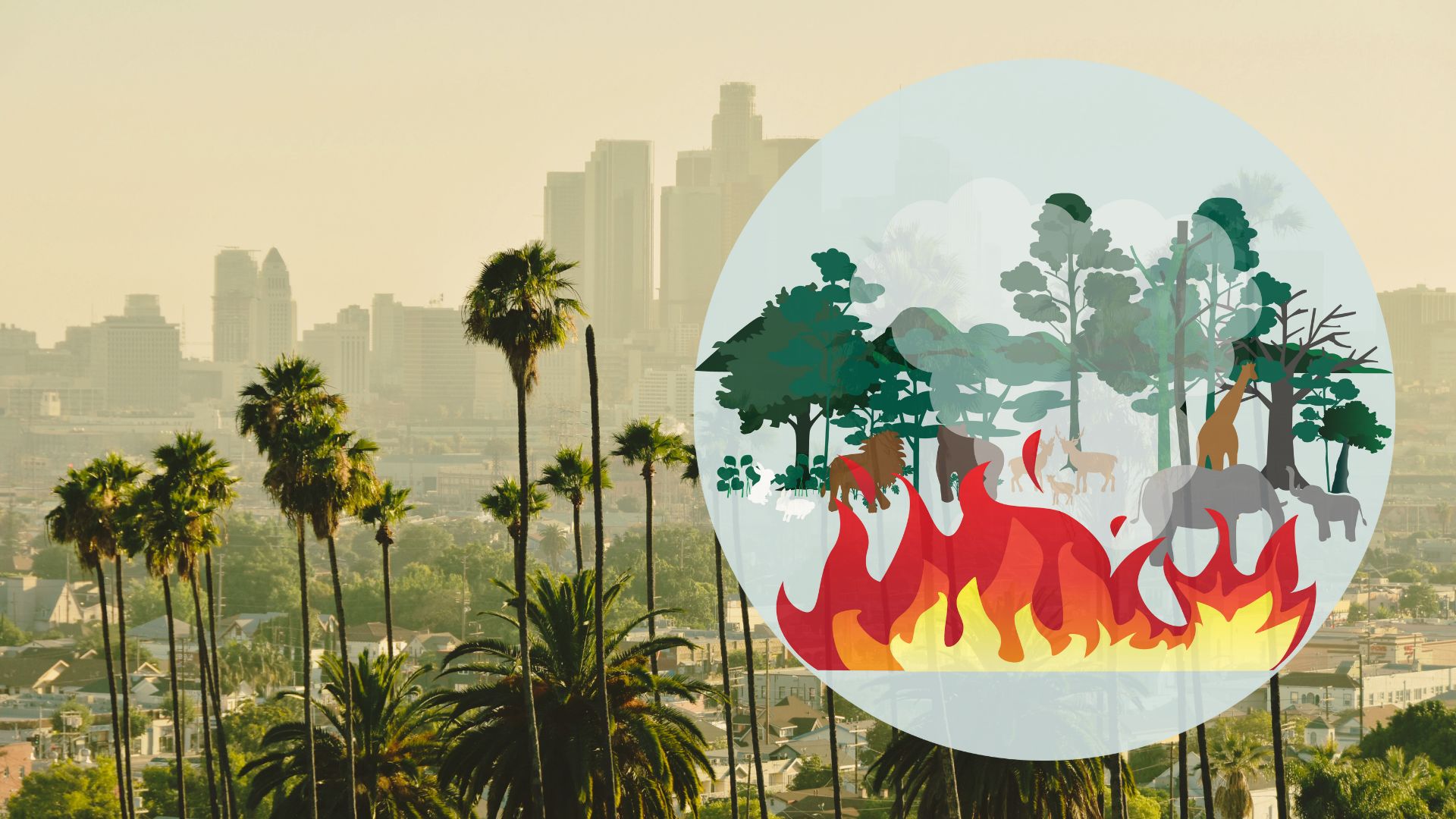 California wildfire-prone areas