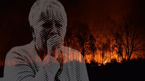 Wildfire Smoke and Dementia Risk