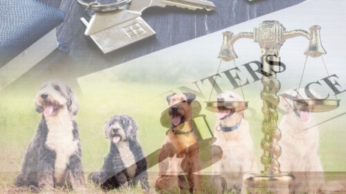 Dog Breed Insurance Bill