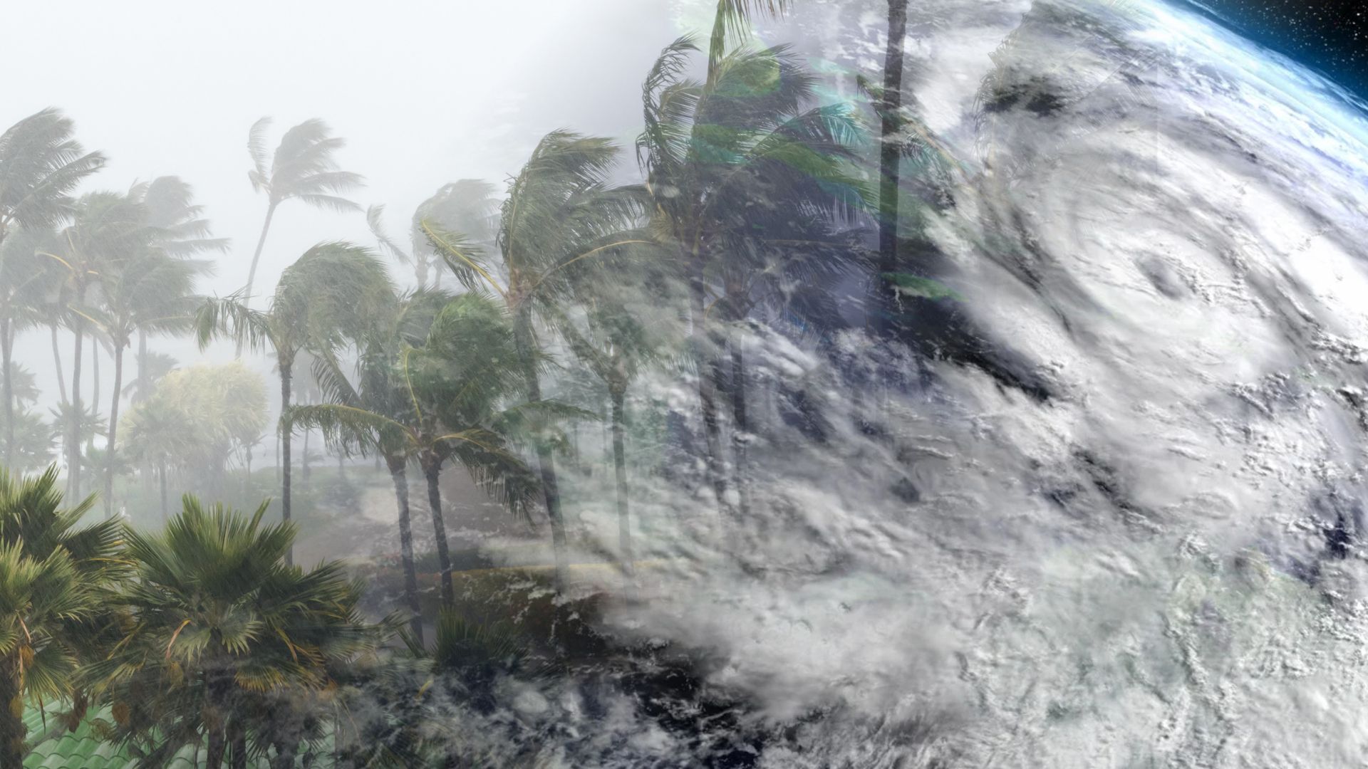 Hurricane Ian and Nicole
