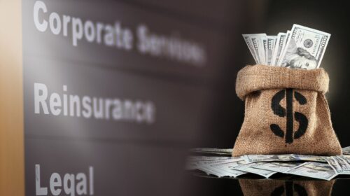 Citizens Insurance Plans Reinsurance Boost