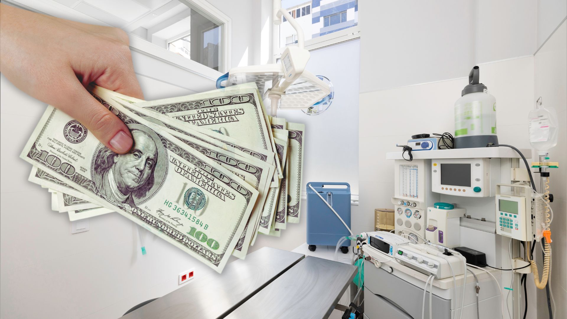 extensive vet services