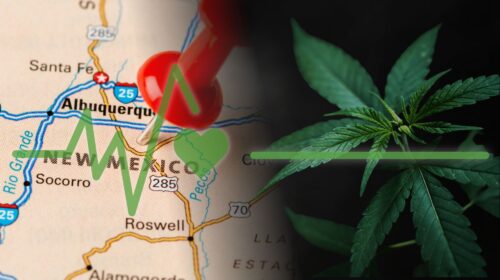 Health Insurance in New Mexico