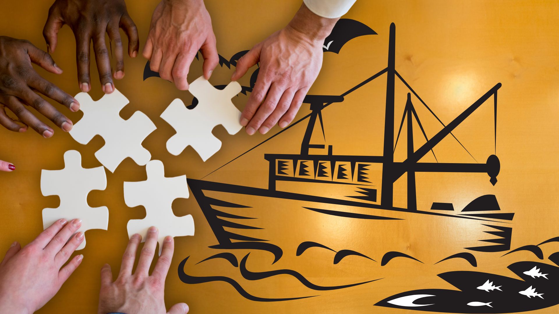 insurance cooperatives