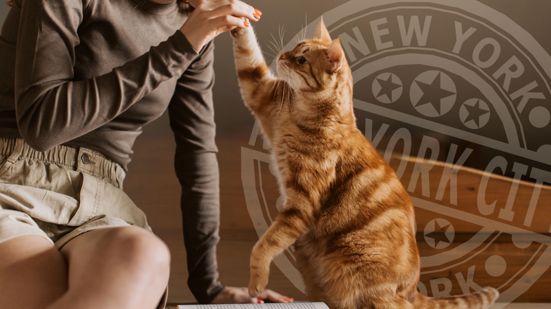 New York’s New Pet Liability Ruling