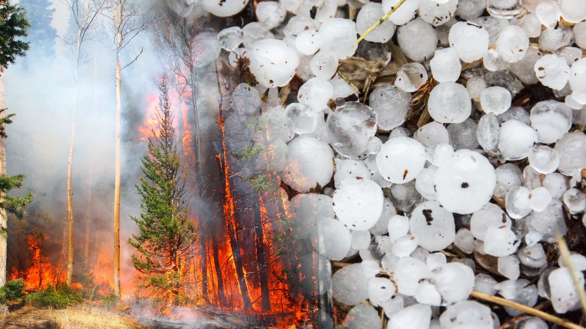 Wildfire and Hail