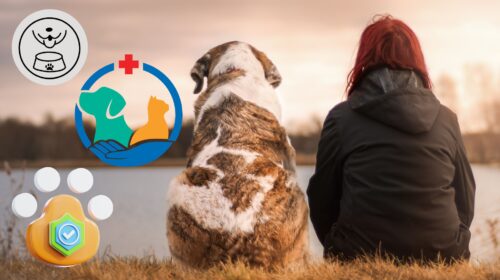 How Dogs Are Defying Time