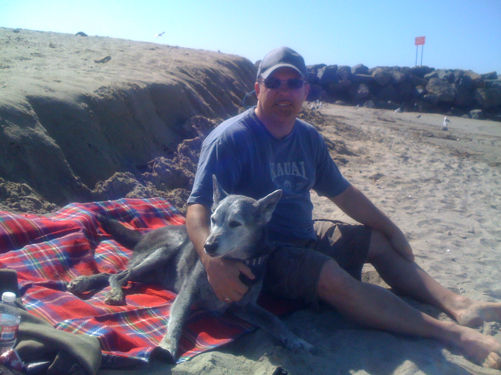 Living Longer, Loving Longer: How Dogs Are Defying Time 2 dog insurance and my personal story