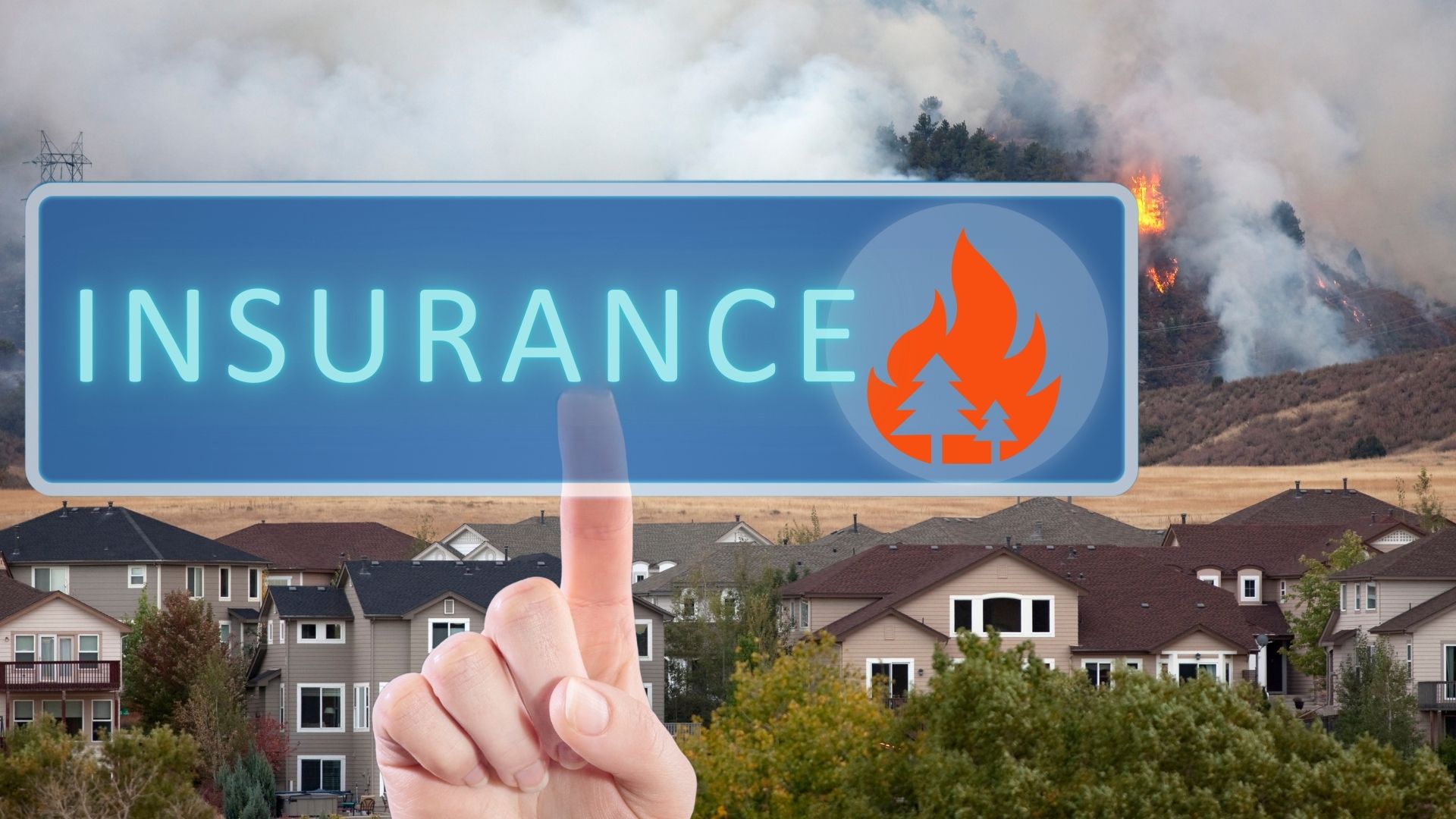 Wildfire Insurance 