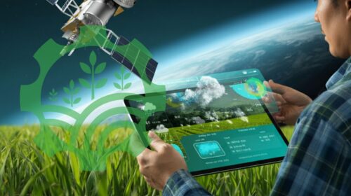 Agricultural Insurance