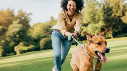 Dog walking disasters