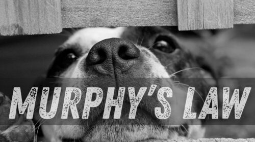 Murphy’s Law