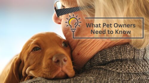 What Pet Owners Need to Know