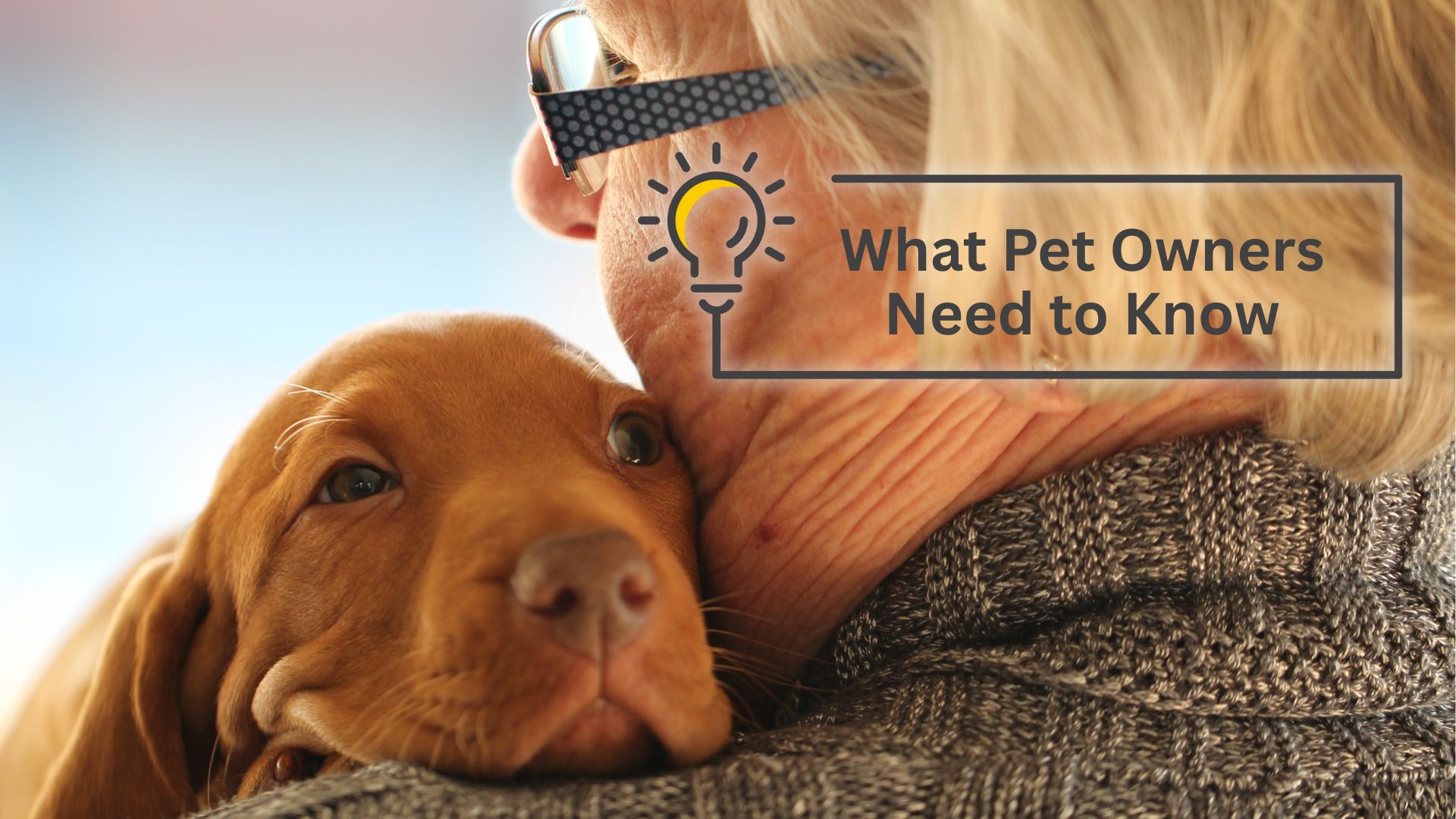 Declawing, Diets, and Digital Vets