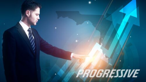 Progressive - Profit Margin calculations